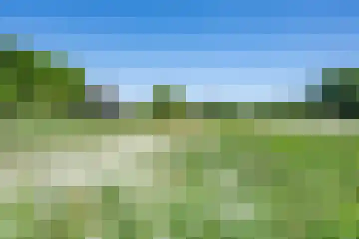Hulzerdijk 3 Almen thumbnail 10