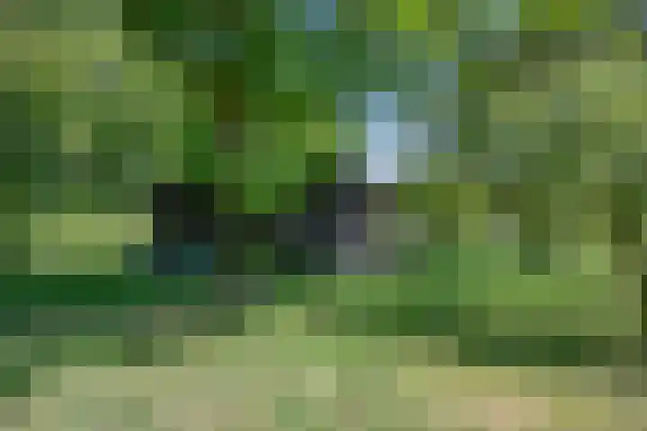 Hulzerdijk 3 Almen thumbnail 12