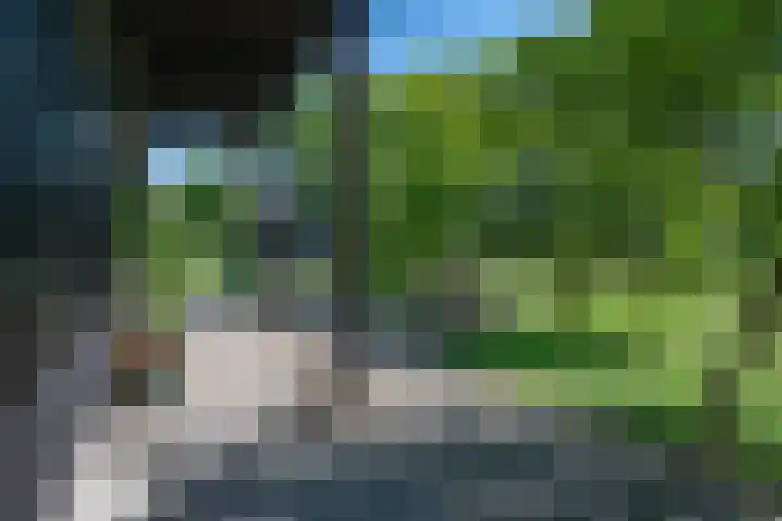 Hulzerdijk 3 Almen thumbnail 14