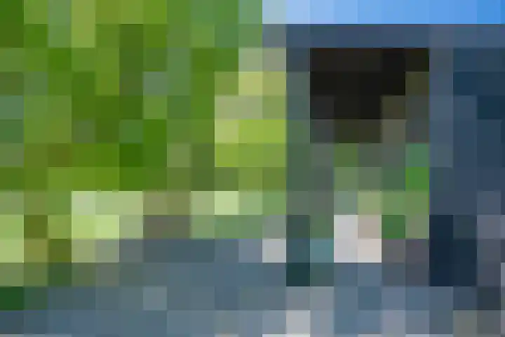 Hulzerdijk 3 Almen thumbnail 15