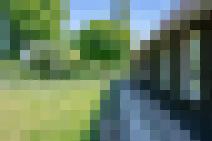 Hulzerdijk 3 Almen thumbnail 17