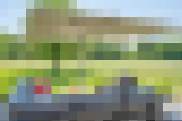Hulzerdijk 3 Almen thumbnail 27