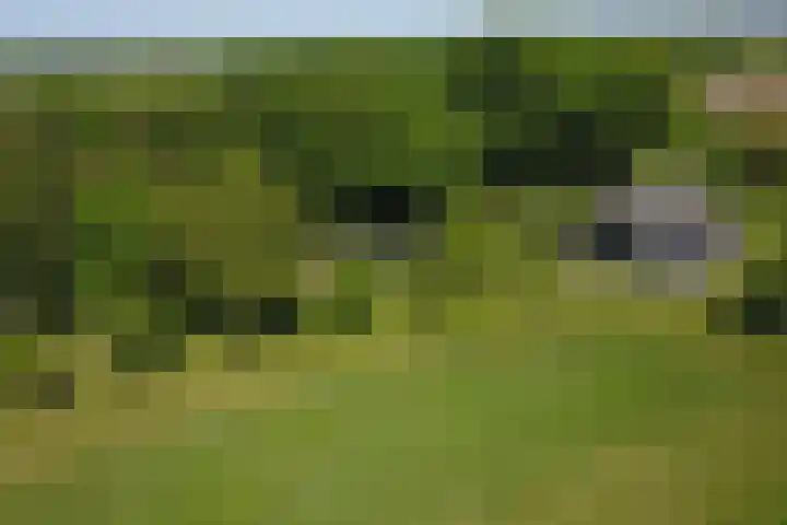 Hulzerdijk 3 Almen thumbnail 4