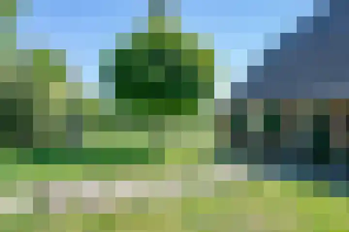 Hulzerdijk 3 Almen thumbnail 46