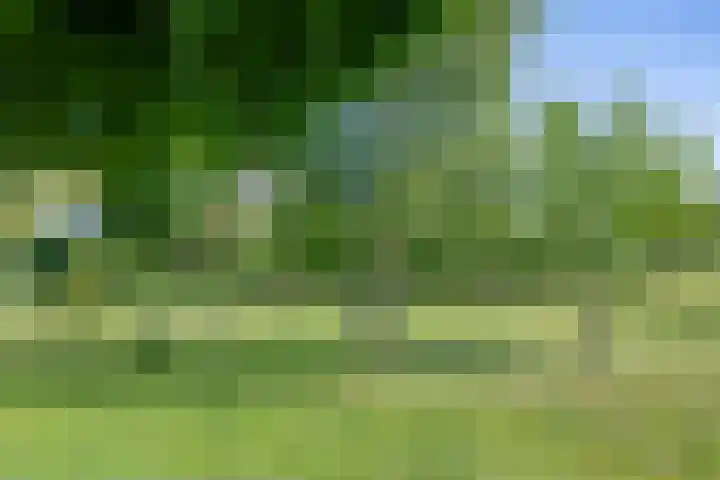 Hulzerdijk 3 Almen thumbnail 47