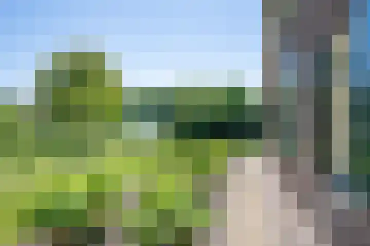 Hulzerdijk 3 Almen thumbnail 49