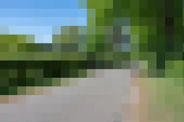 Hulzerdijk 3 Almen thumbnail 5