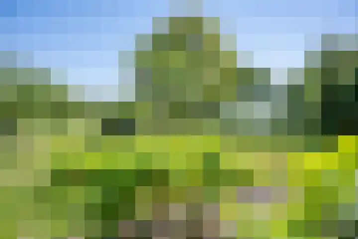 Hulzerdijk 3 Almen thumbnail 50