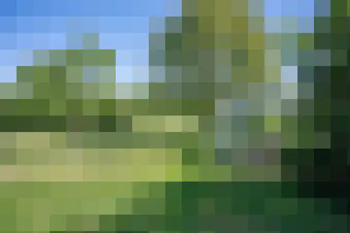 Hulzerdijk 3 Almen thumbnail 52