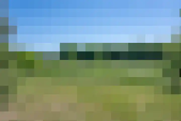 Hulzerdijk 3 Almen thumbnail 53