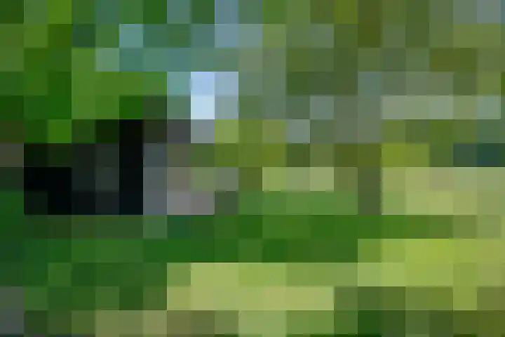 Hulzerdijk 3 Almen thumbnail 75