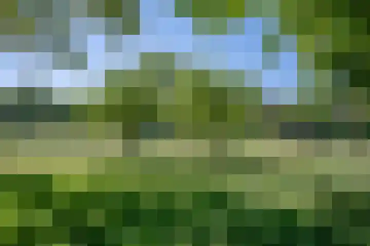 Hulzerdijk 3 Almen thumbnail 76