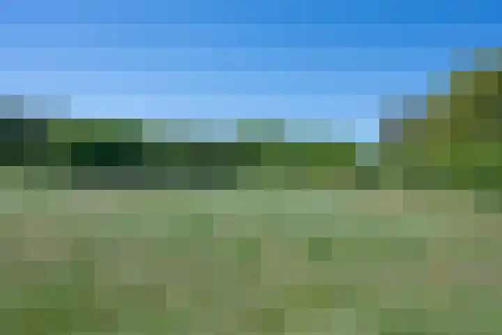 Hulzerdijk 3 Almen thumbnail 77