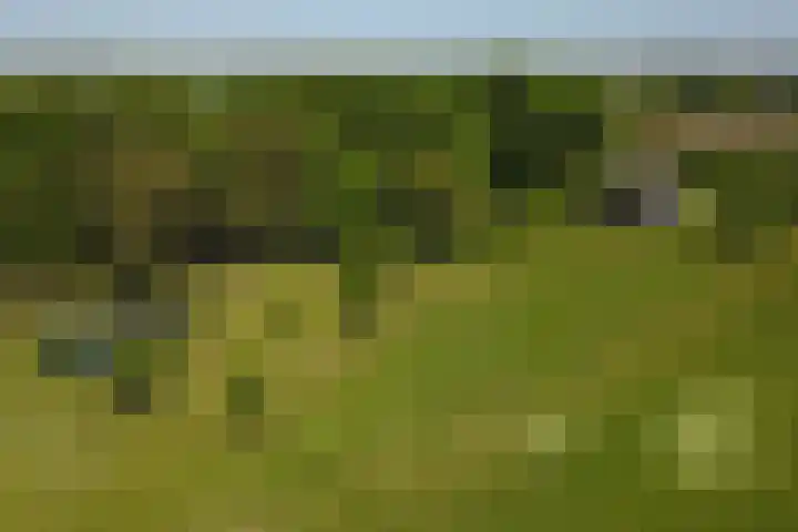 Hulzerdijk 3 Almen thumbnail 78