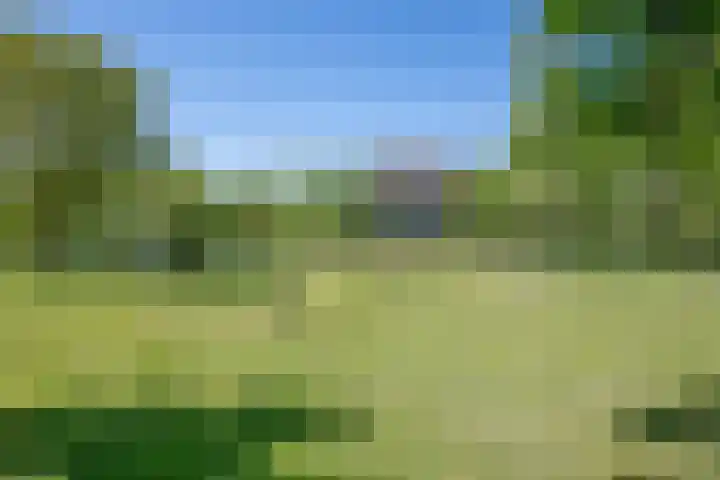 Hulzerdijk 3 Almen thumbnail 8