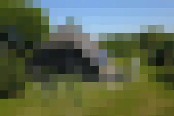 Hulzerdijk 3 Almen thumbnail 9