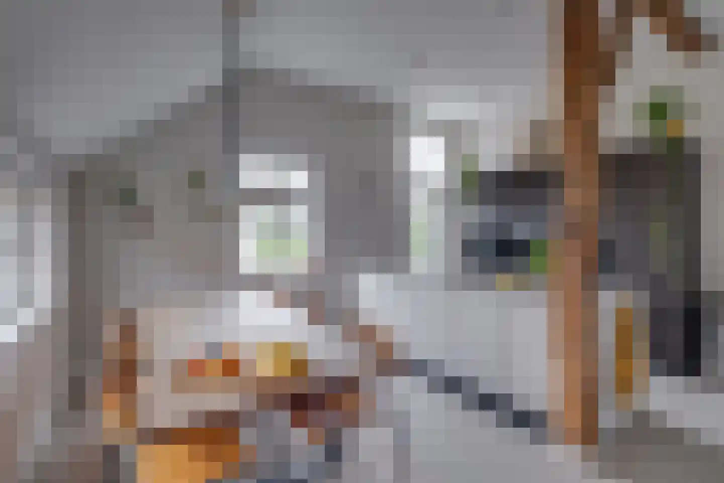 Hulzerdijk 9 Eefde thumbnail 10