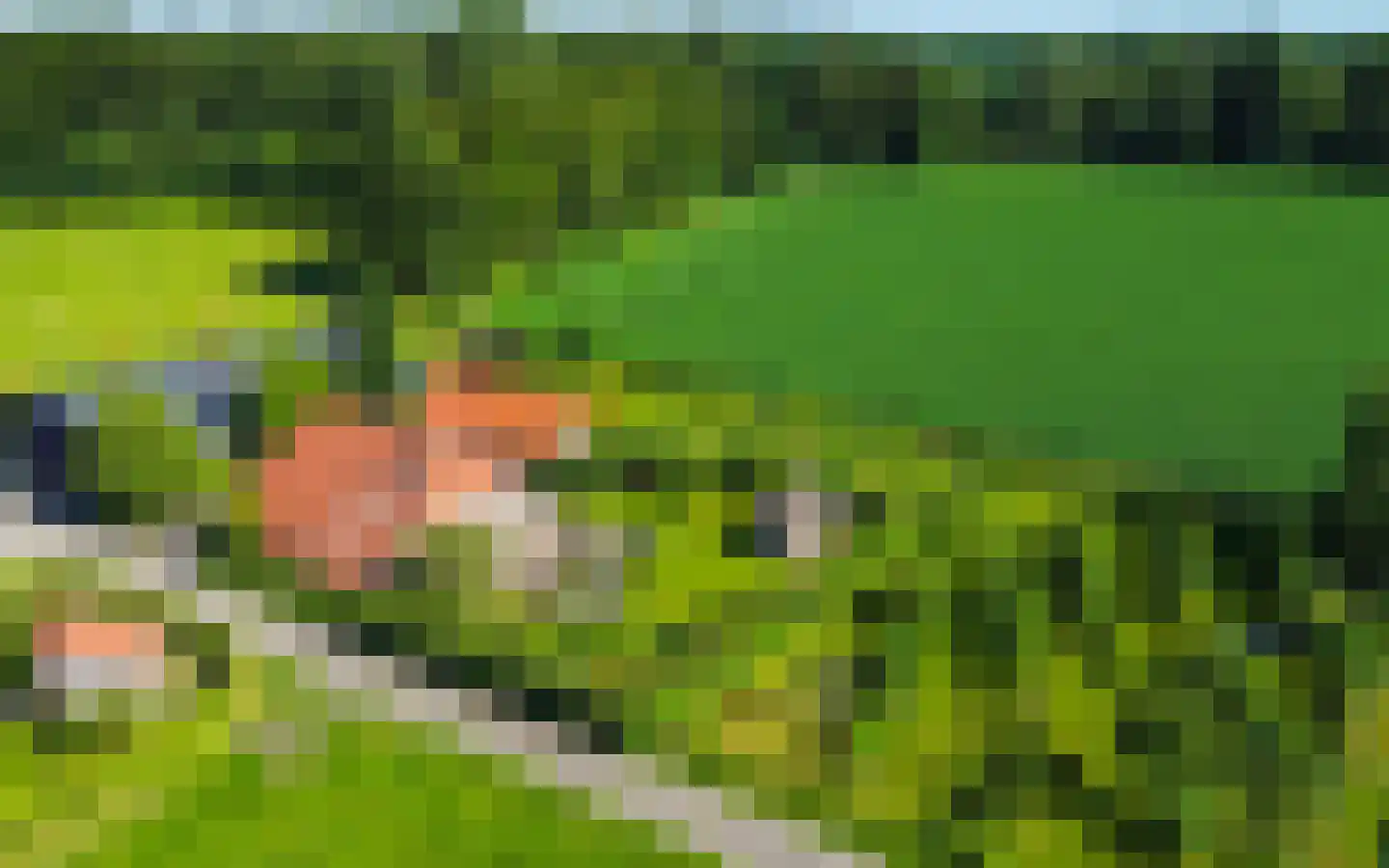 Hulzerdijk 9 Eefde thumbnail 22
