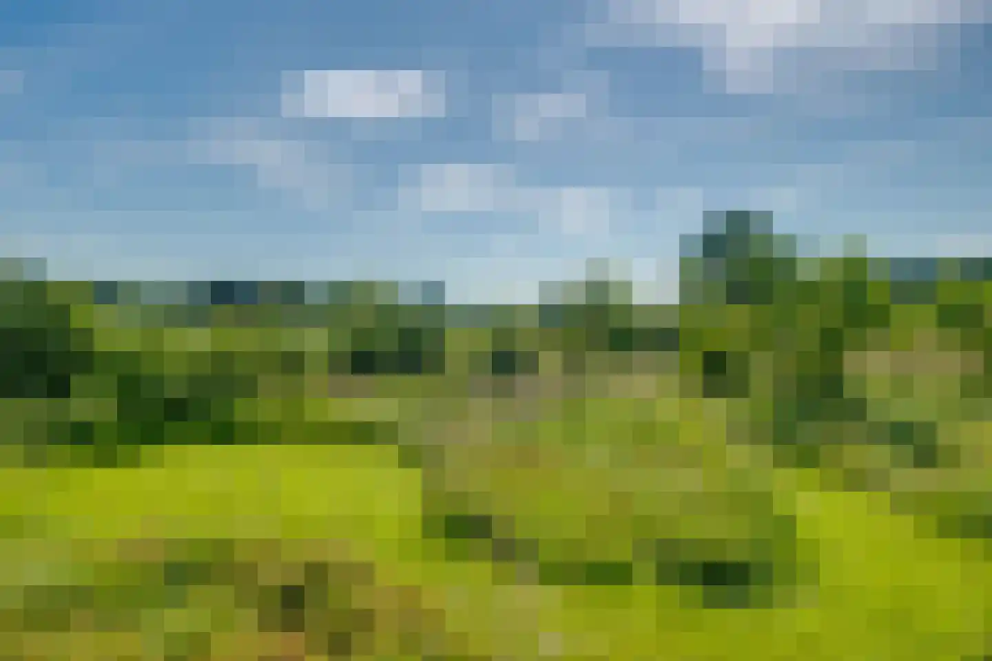 Hulzerdijk 9 Eefde thumbnail 32