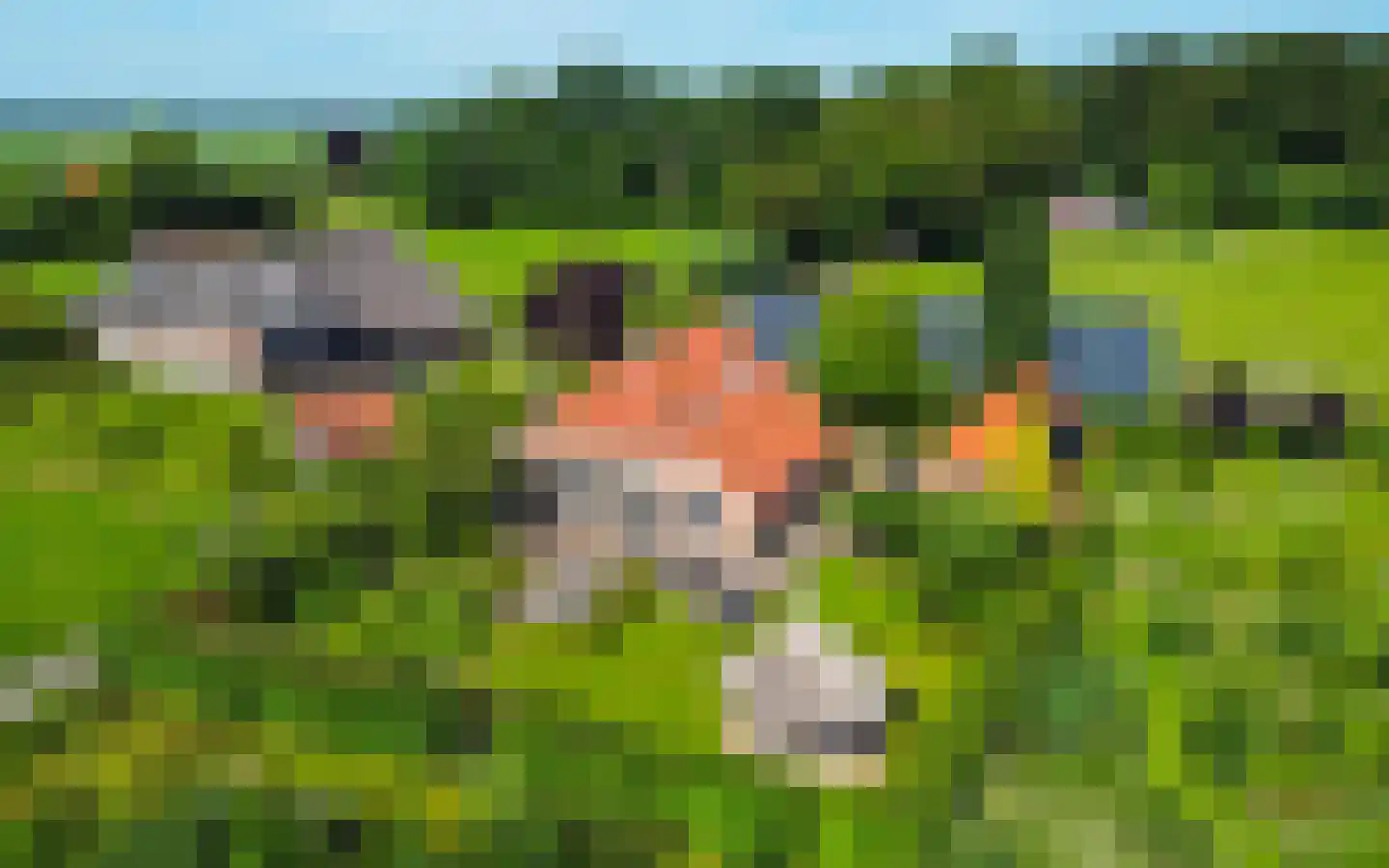 Hulzerdijk 9 Eefde thumbnail 33