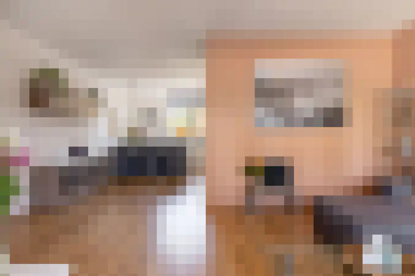 Humaldastate 1 Leeuwarden thumbnail 17