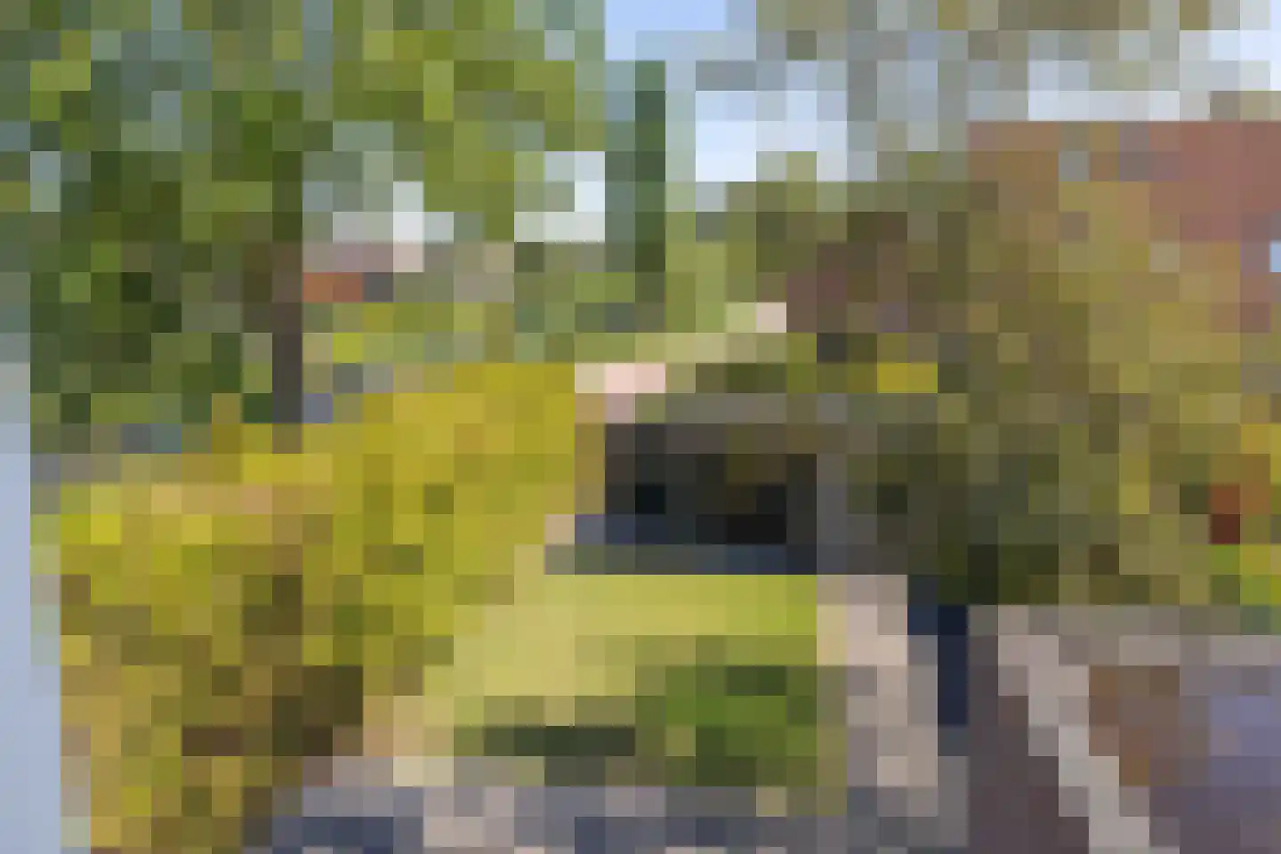 Humaldastate 1 Leeuwarden thumbnail 35