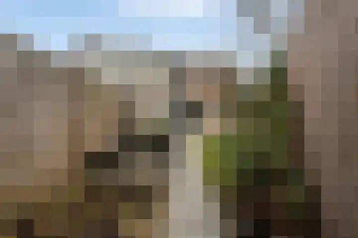 Humaldastate 12 Leeuwarden thumbnail 21