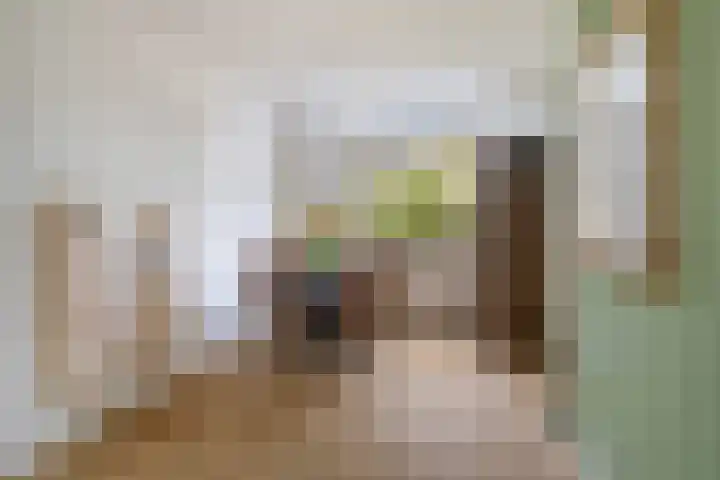 Humaldastate 2 Leeuwarden thumbnail 18