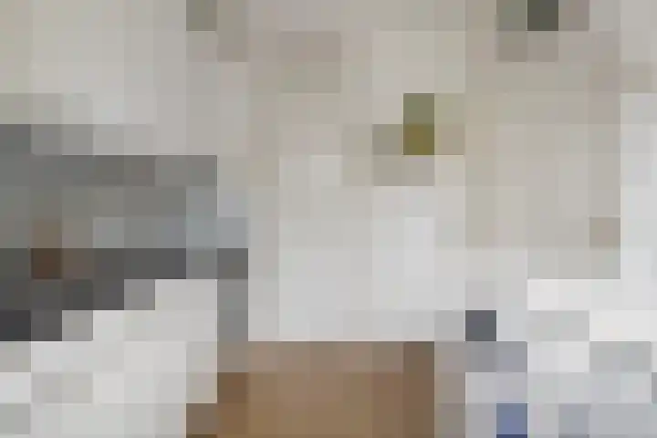 Humaldastate 2 Leeuwarden thumbnail 21