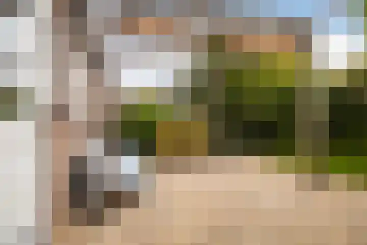 Humaldastate 2 Leeuwarden thumbnail 25