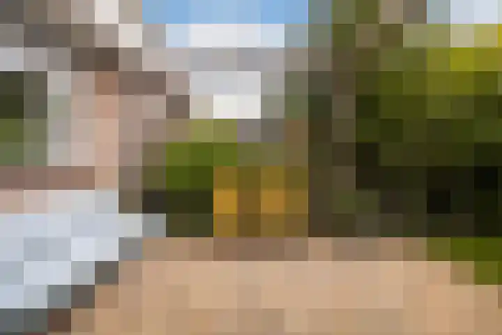Humaldastate 2 Leeuwarden thumbnail 27