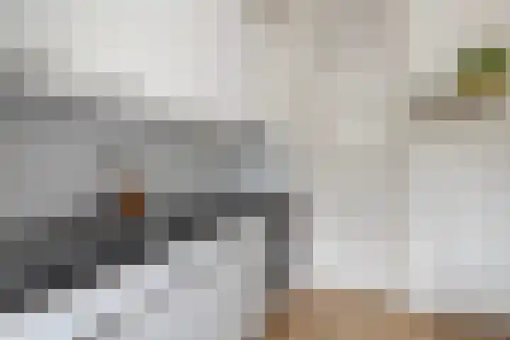Humaldastate 2 Leeuwarden thumbnail 5