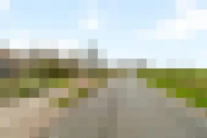 Humaldawei 47 Jouswier thumbnail 30