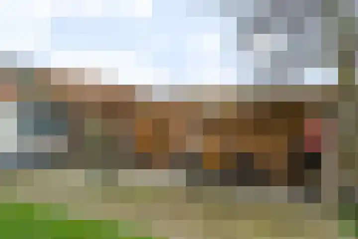Humaldawei 47 Jouswier thumbnail 35