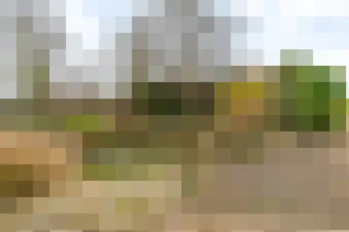 Humaldawei 47 Jouswier thumbnail 37