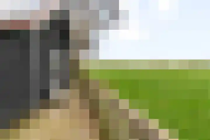 Humaldawei 47 Jouswier thumbnail 38