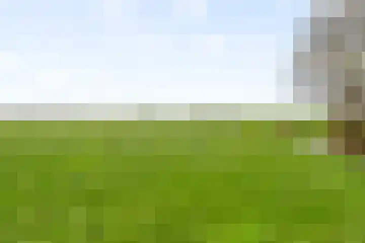 Humaldawei 47 Jouswier thumbnail 41