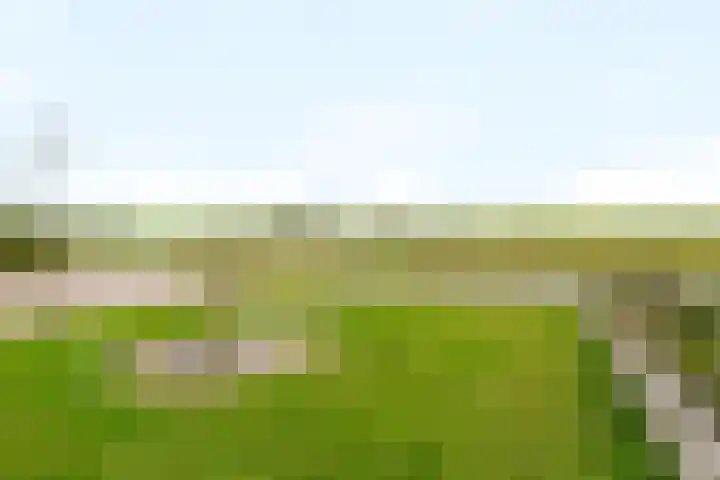 Humaldawei 47 Jouswier thumbnail 6