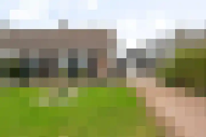 Humaldawei 47 Jouswier thumbnail 7