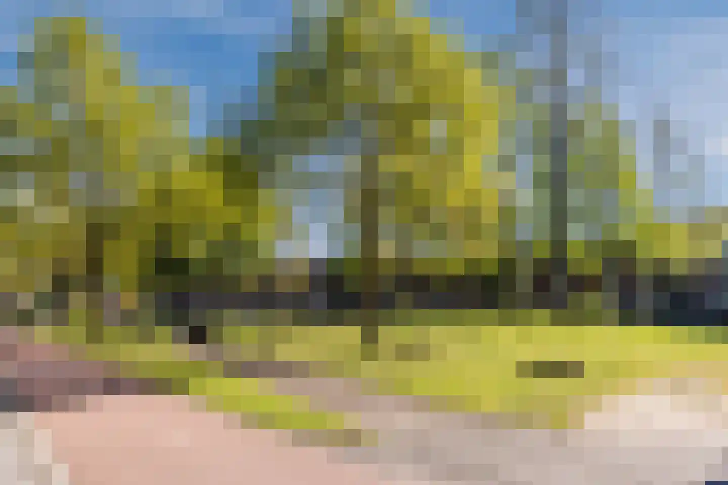 Humberto Delgadoplein 34 Amsterdam thumbnail 4
