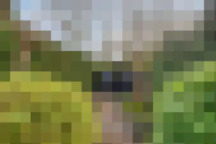 Humcoverstraat 80 Meerssen thumbnail 46