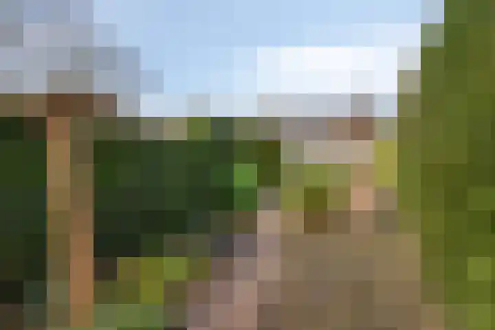 Humcoverstraat 80 Meerssen thumbnail 47