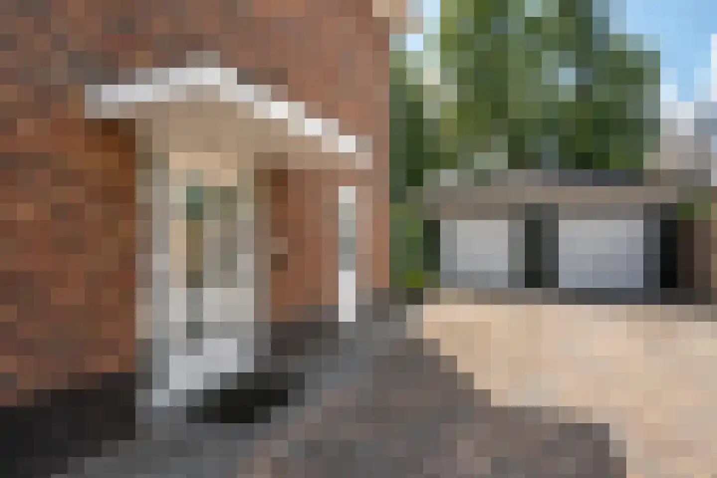 Humilitasstraat 17 Leeuwarden thumbnail 7