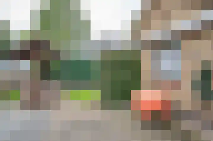 Hummeloseweg 16 Hengelo (Gld) thumbnail 37