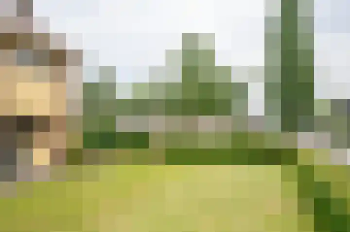 Hummeloseweg 16 Hengelo (Gld) thumbnail 7