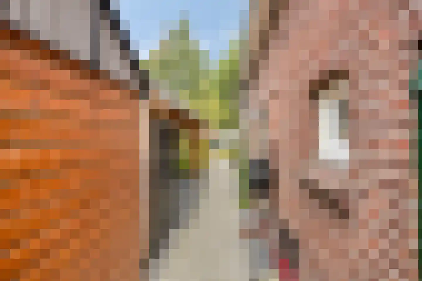 Hummeloseweg 36 Zelhem thumbnail 31