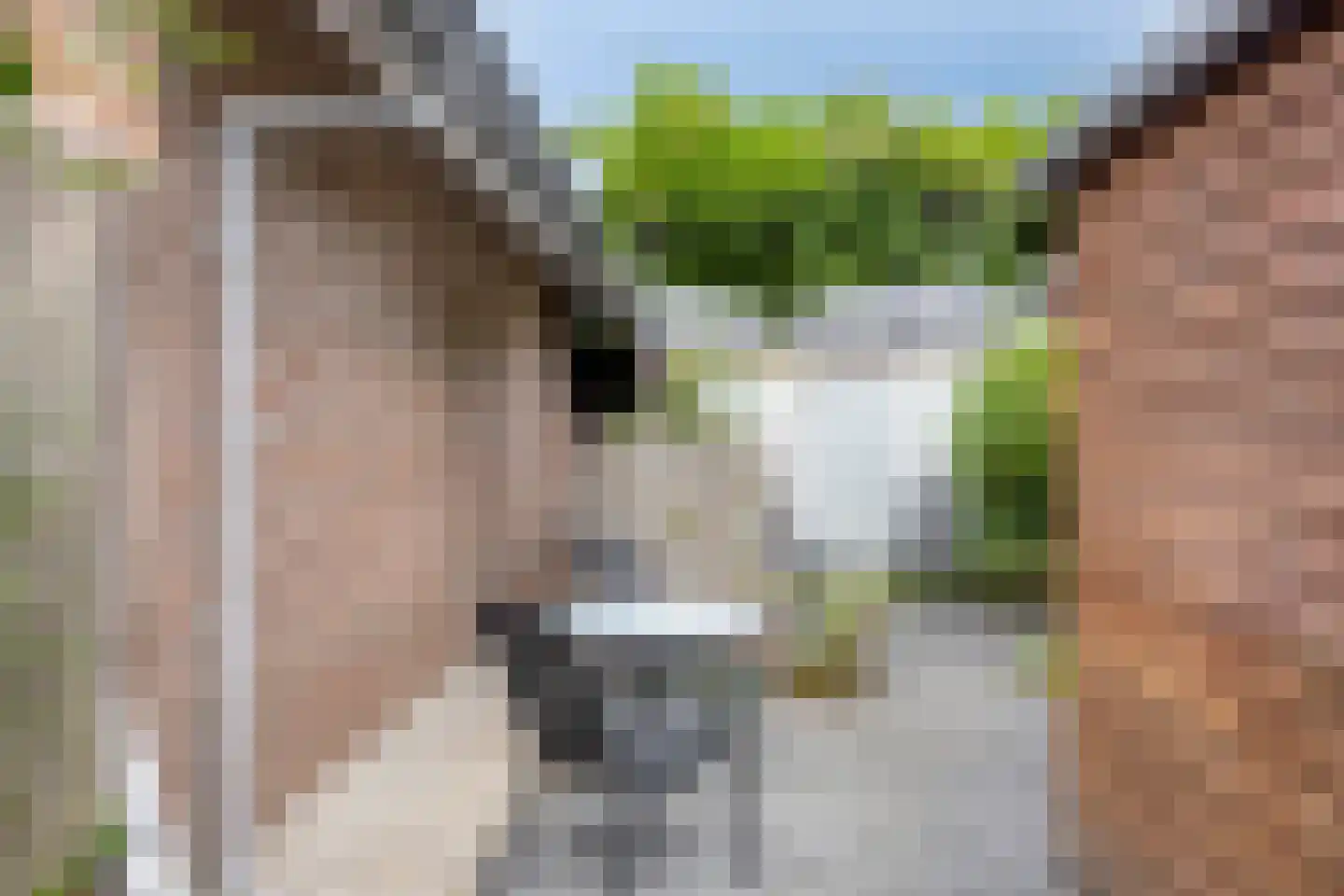 Hummeloseweg 36 Zelhem thumbnail 33