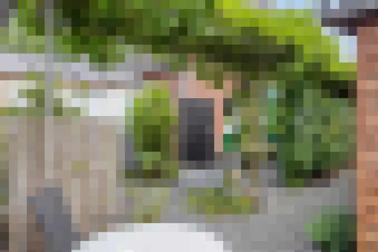 Hummeloseweg 36 Zelhem thumbnail 34