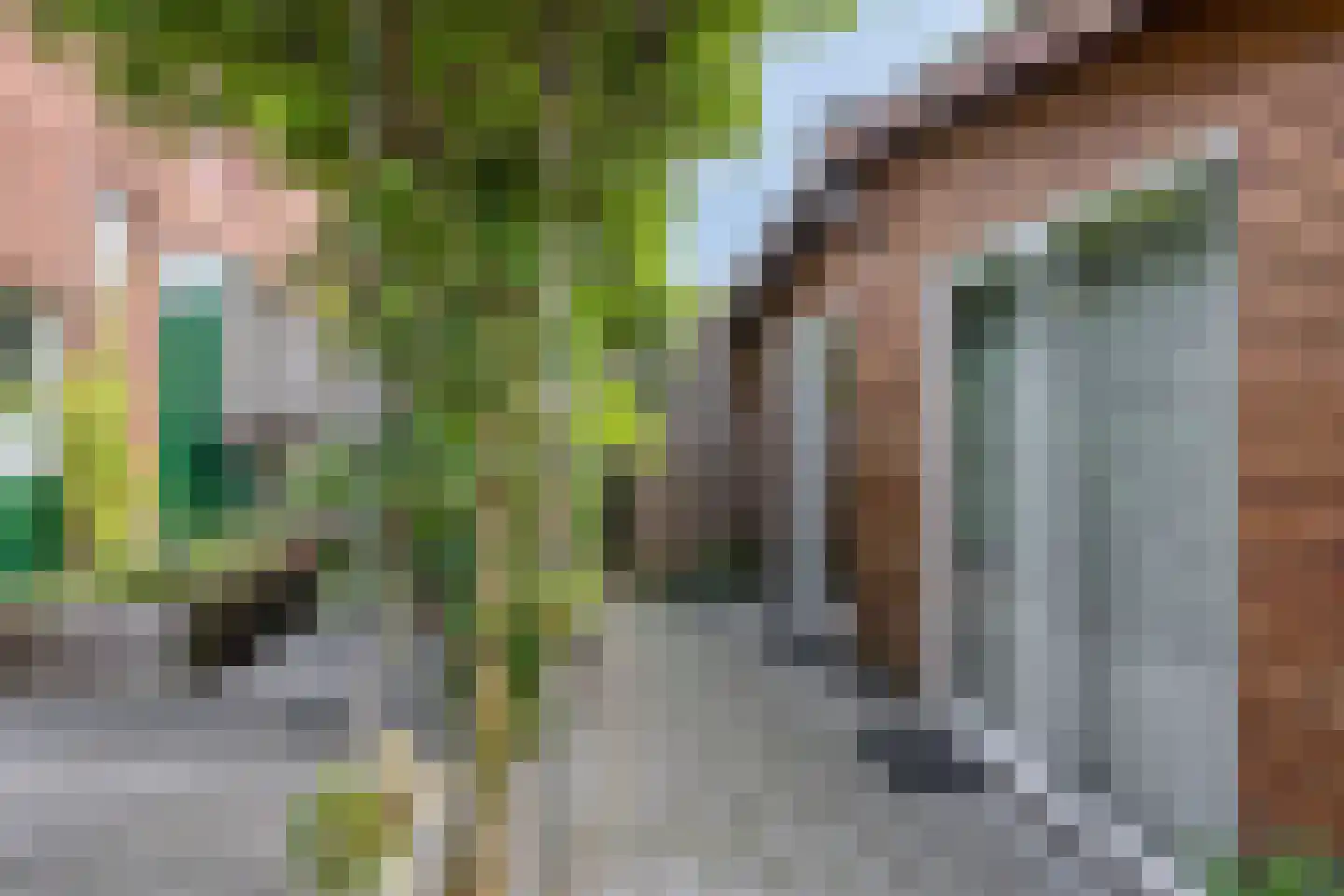 Hummeloseweg 36 Zelhem thumbnail 35