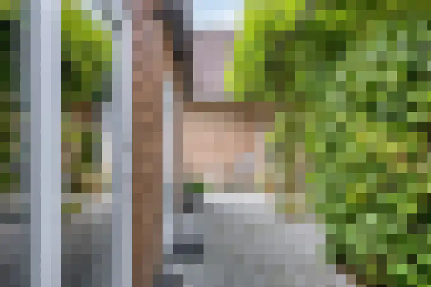 Hummeloseweg 36 Zelhem thumbnail 36